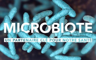 Tout sur le microbiote – Le guide complet !