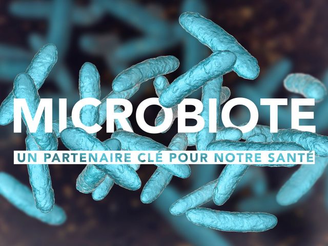 Tout sur le microbiote – Le guide complet !