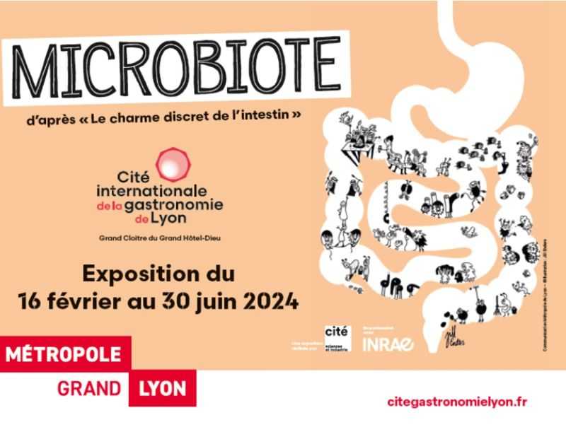 Exposition sur le microbiote à la Cité internationale de la Gastronomie – Lyon