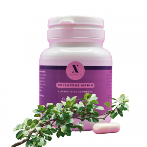Collagène marin hydrolysé Cartidyss® + acide hyaluronique