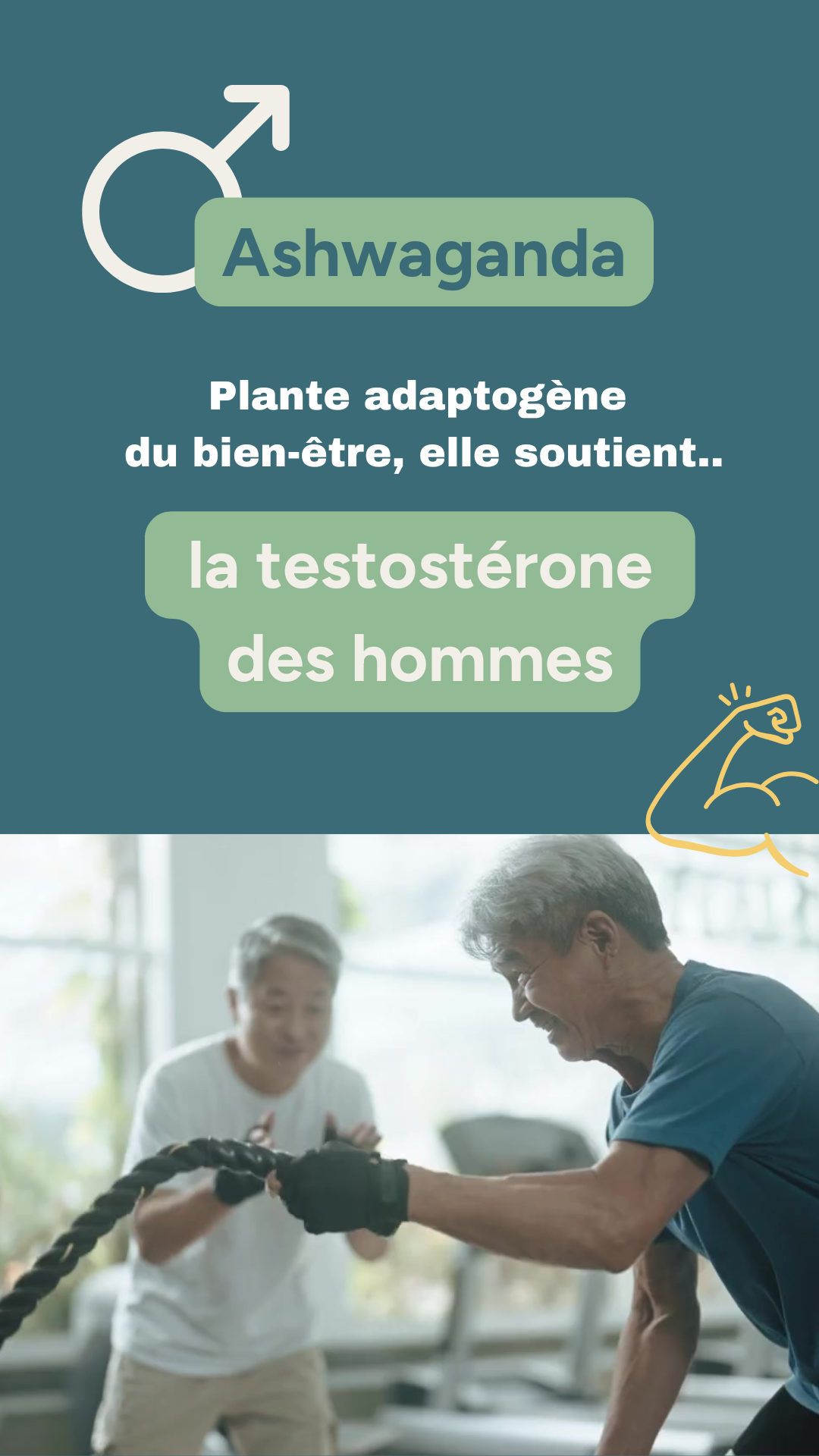 Gélules Ashwagandha Nutrixielle – plante anti-stress et sommeil naturel