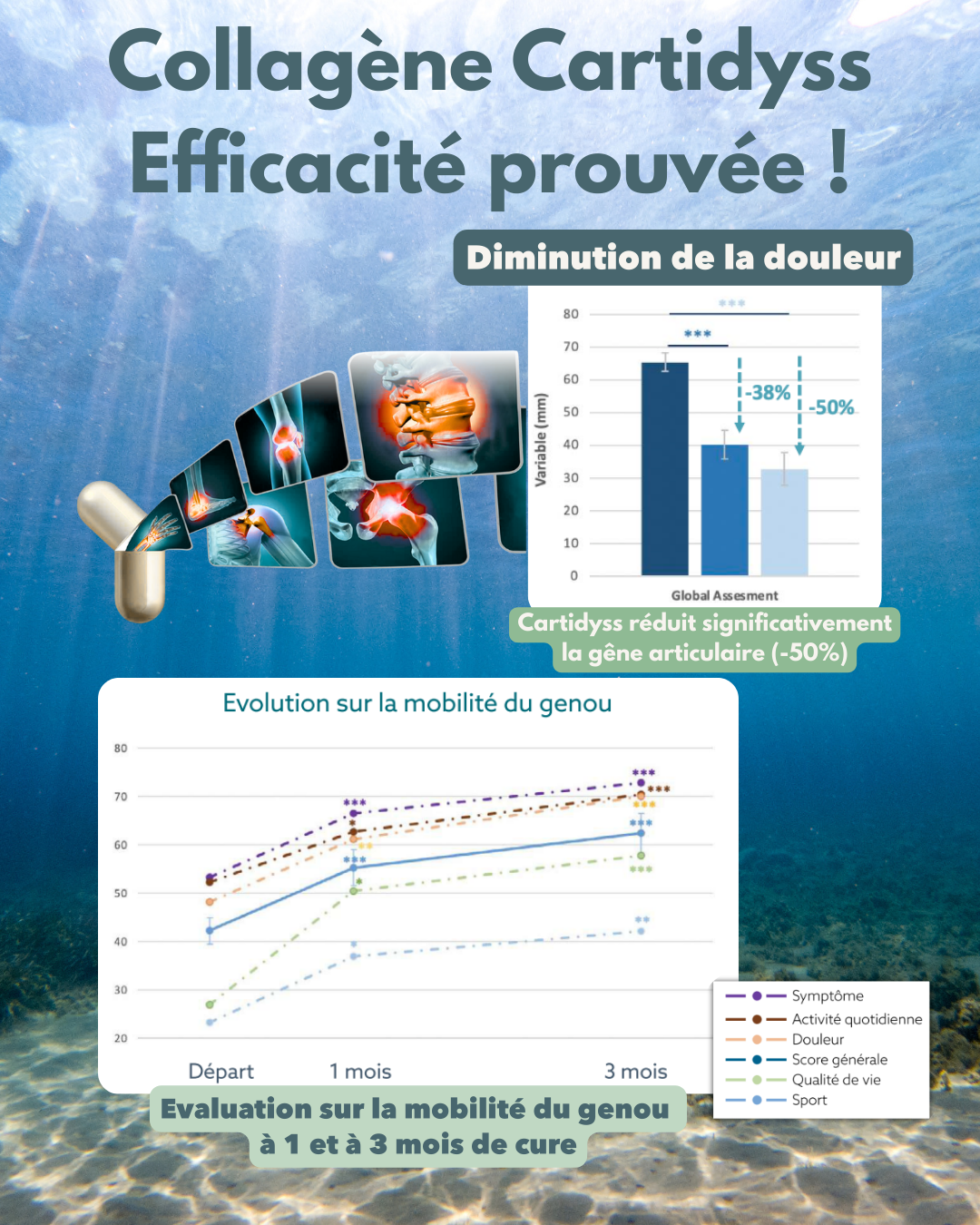Graphique collagène articulations Nutrixielle – diminution douleur et gêne articulaire, amélioration mobilité genoux après 1 à 3 mois