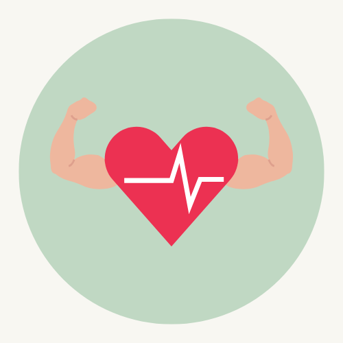 Coenzyme Q10 – soutien du métabolisme musculaire et de la fonction cardiovasculaire