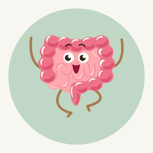 Nutr Équilibre – apaisement intestinal grâce à la myrtille antioxydante