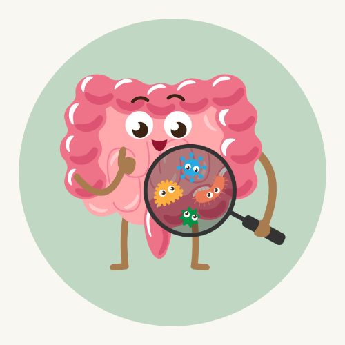 Nutr Équilibre – flore intestinale équilibrée avec Lactobacillus acidophilus LB