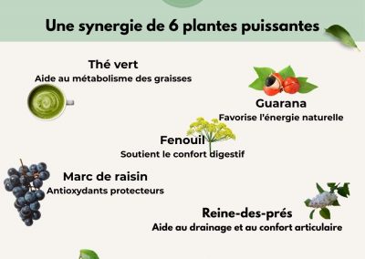 Nutr'Elim-détox-foie-naturel