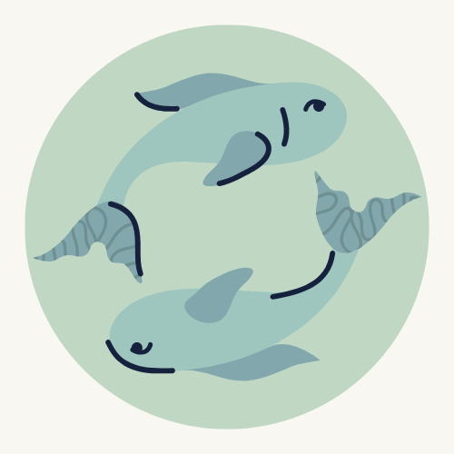 Oméga 3 huile marine durable poissons sauvages