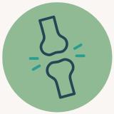 Articulation - collagène type 2 Nutrixielle