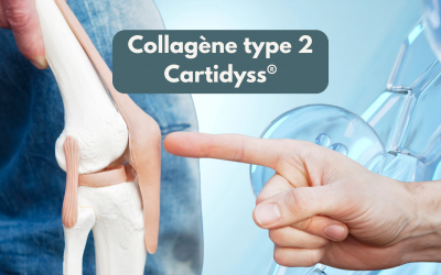 Collagène Marin Type II Cartidyss® : Le Secret d’Articulations Souples et d’une Mobilité Retrouvée