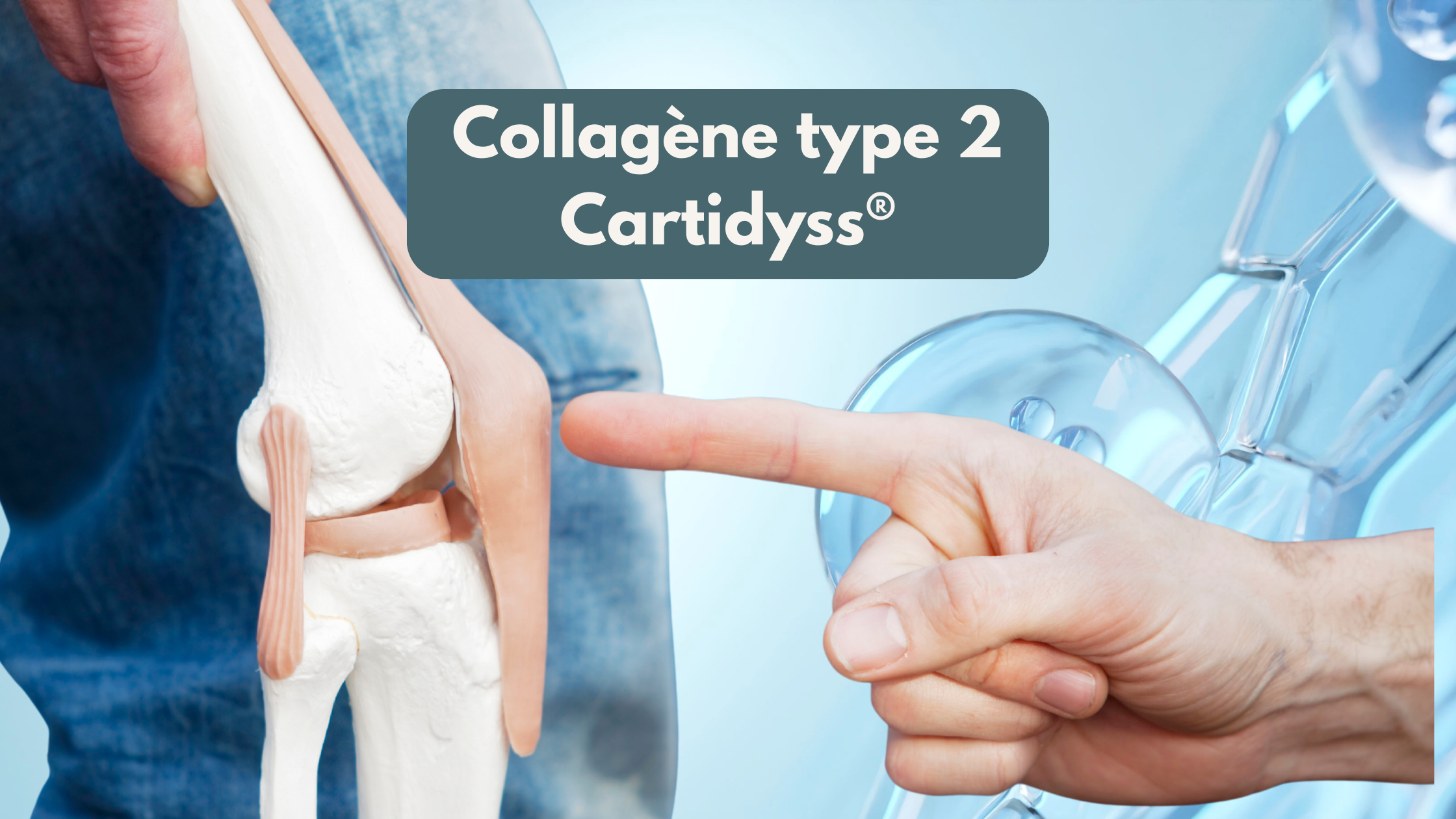 Collagène Type II Marin Cartidyss® Nutrixielle: Le Secret Pour Préserver vos Articulations et Retrouver la Mobilité