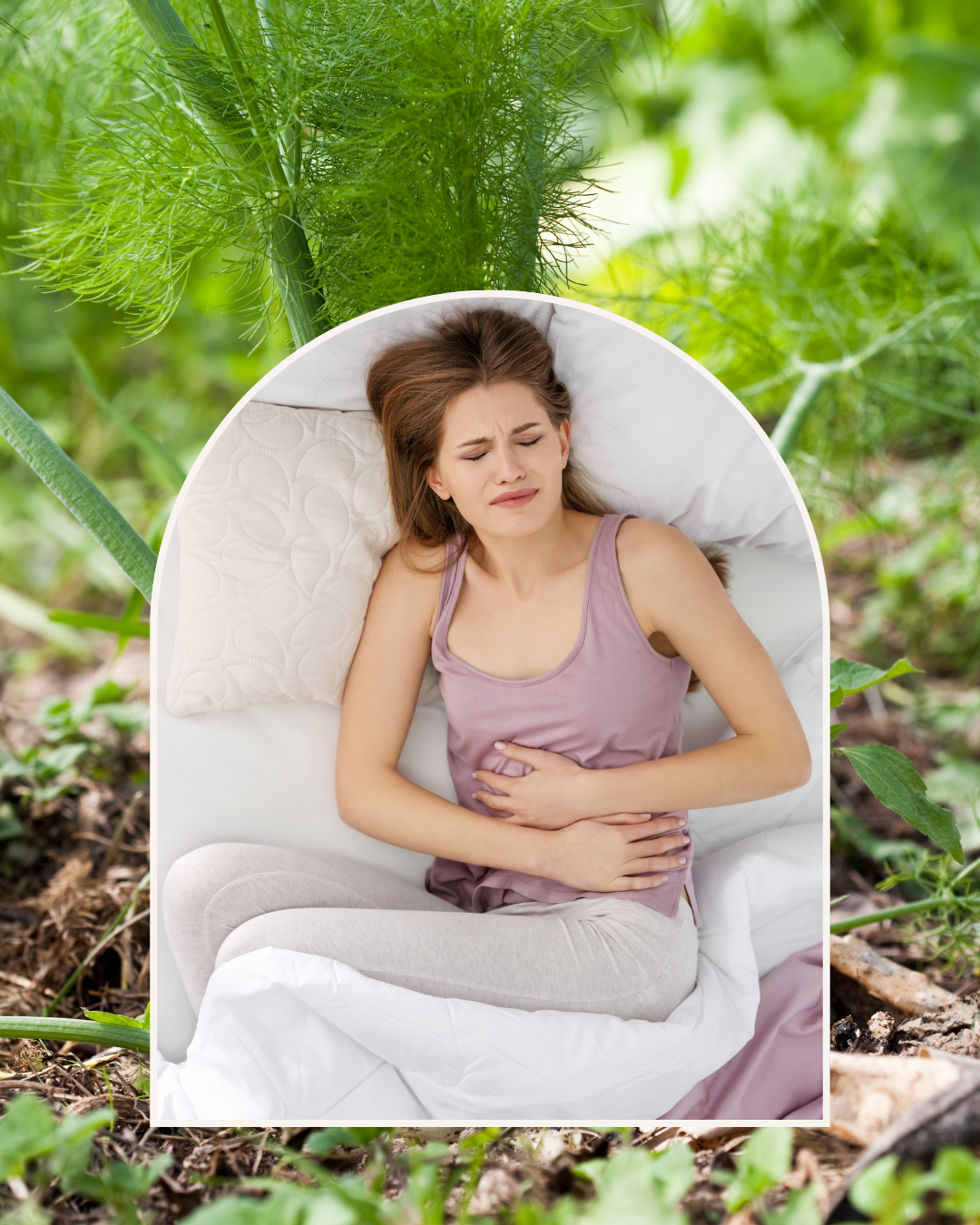 Fenouil Fenouil - NutrElim draineur naturel détox