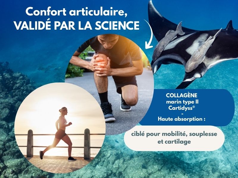 Collagène marin hydrolysé type 2 Cartidyss associé à la vitamine C pour soutenir vortre mobilité. Résultats visibles dès 30 jours.