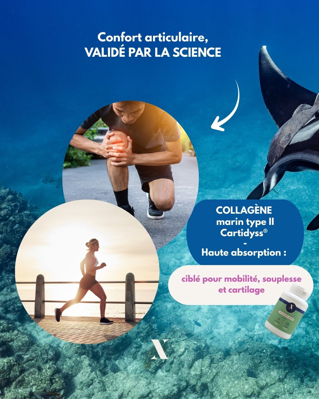 Collagène marin type 2 - Nutrixielle - articulations genoux mobilité Collagène marin hydrolysé type 2 Cartidyss associé à la vitamine C pour soutenir vortre mobilité. Résultats visibles dès 30 jours.