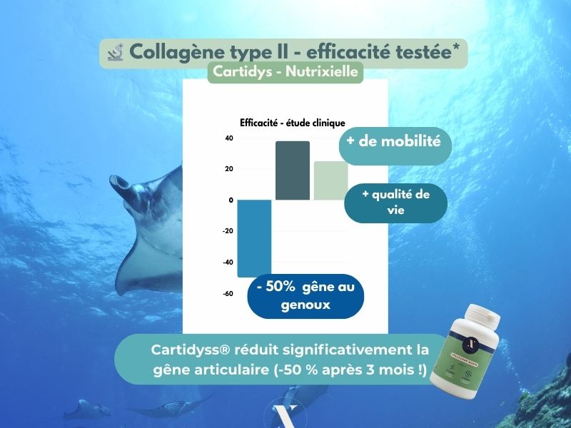 Collagène marin hydrolysé type 2 Cartidyss associé à la vitamine C pour soutenir votre mobilité. Efficace, mobilité, gêne au genoux et articulations