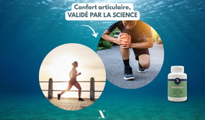Pourquoi acheter le Collagène Articulations Nutrixielle Collagène Articulations Nutrixielle Cartidyss type II marin vitamine C fabrication française