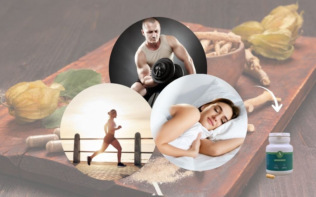 Ashwagandha et sommeil, stress, libido : quels effets attendre vraiment ?
