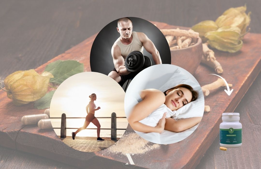 Ashwagandha - stress - sommeil - libido - testostérone - Nutrixielle