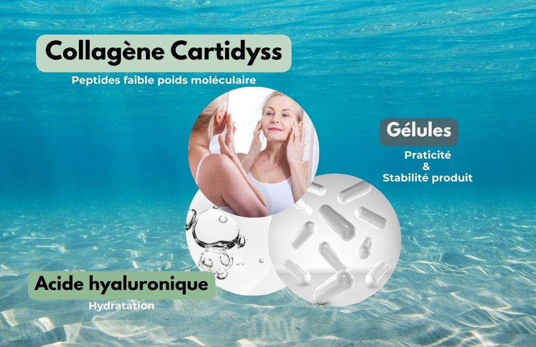 Visuel présentant le collagène Cartidyss®, ses peptides de faible poids moléculaire, l’acide hyaluronique pour l’hydratation et le format gélules pratique.