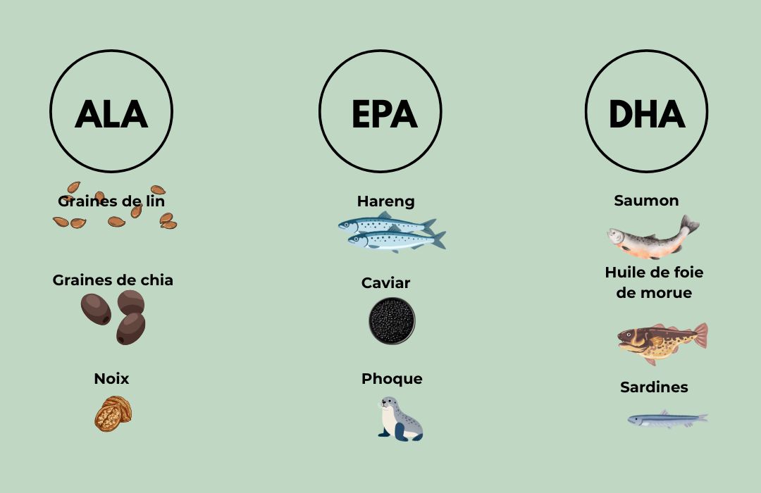 EPA DHA ALA : les trois formes principales d’oméga 3 Schéma expliquant les différences entre ALA EPA et DHA
