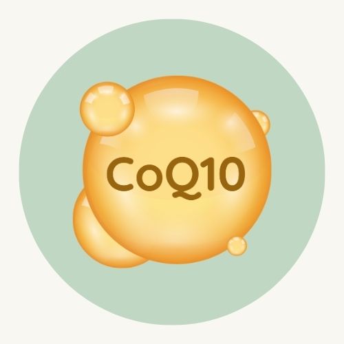Coenzyme Q10 – protection antioxydante contre le stress oxydatif