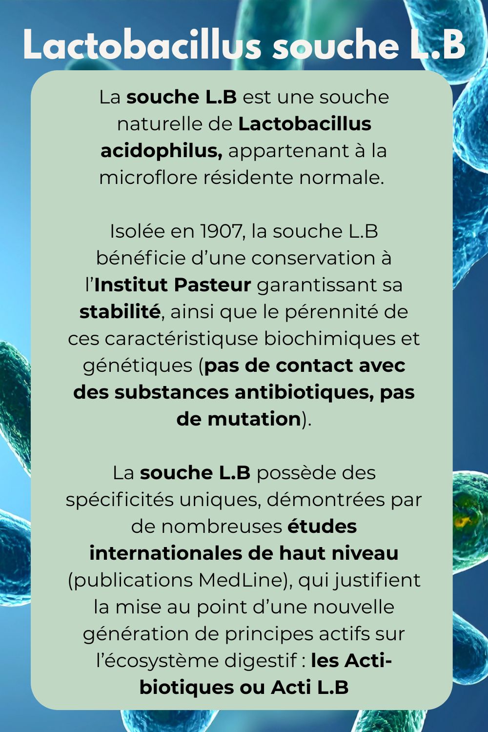 Infographie sur le ferment lactique thermostabilisé Lactobacillus acidophilus LB et l’équilibre intestinal