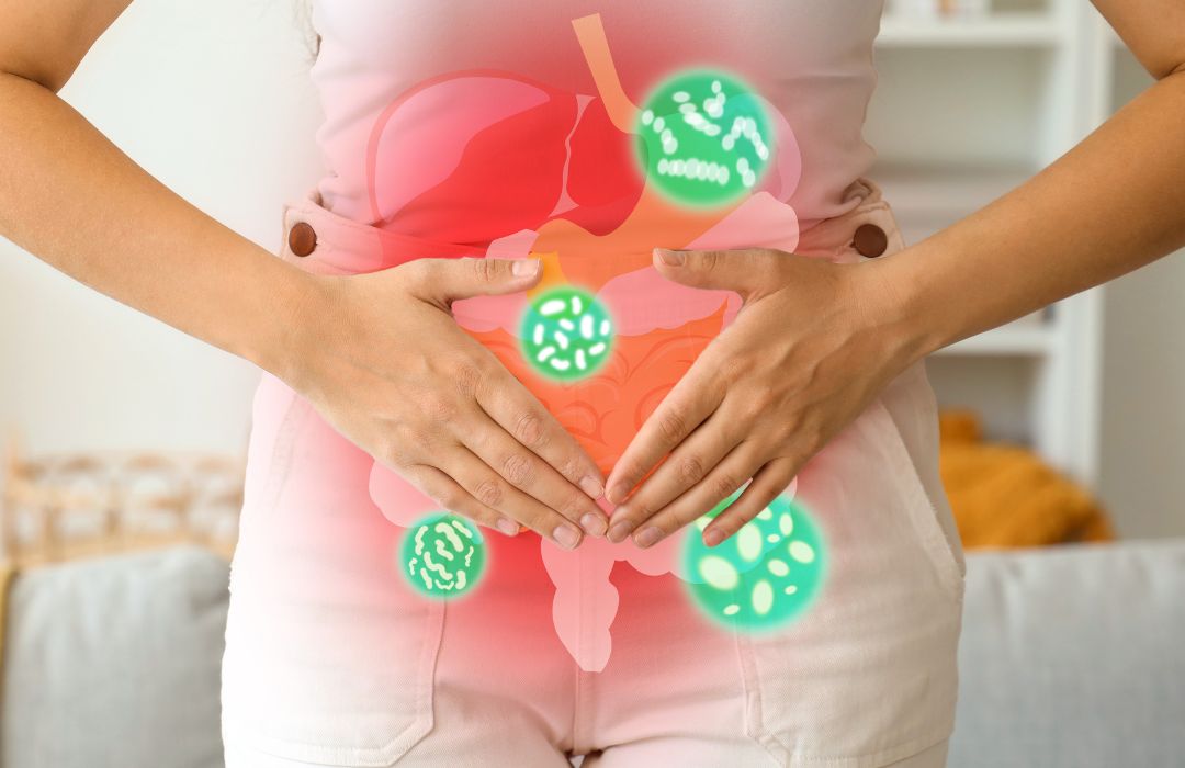 Microbiote intestinal et ventre gonflé à la ménopause Illustration du microbiote intestinal chez une femme ayant le ventre gonflé à la ménopause