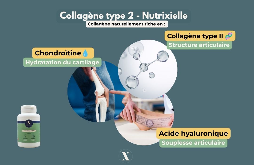 douleur articulaire genoux hanches épaules mains - collagène type 2 Nutrixielle Collagène type 2 Nutrixielle - Cartidyss - chondroitine et acide hyaluronique