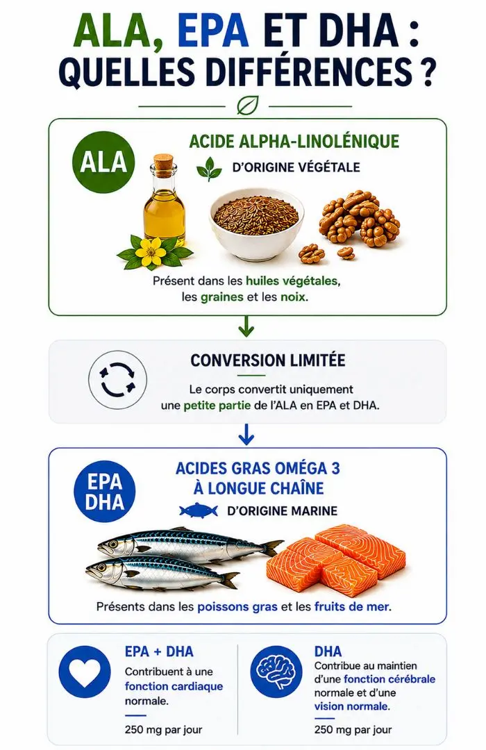 ALA, EPA et DHA : quelles différences ? Infographie comparant les oméga 3 ALA, EPA et DHA et leurs principales sources