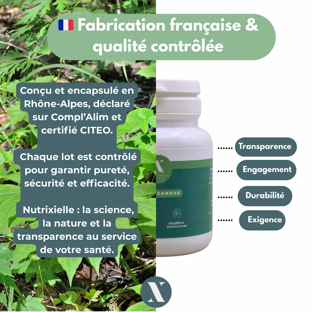 Infographie sur l’Ashwagandha Nutrixielle, la qualité et la testostérone