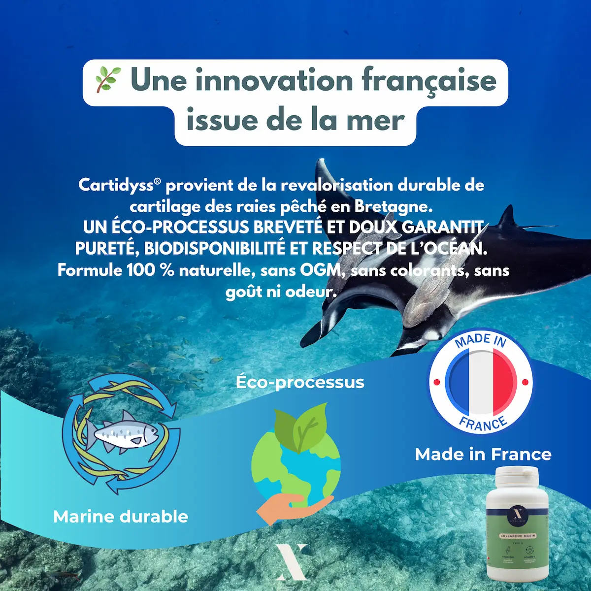 Innovation française issue de la mer pour le collagène Cartidyss