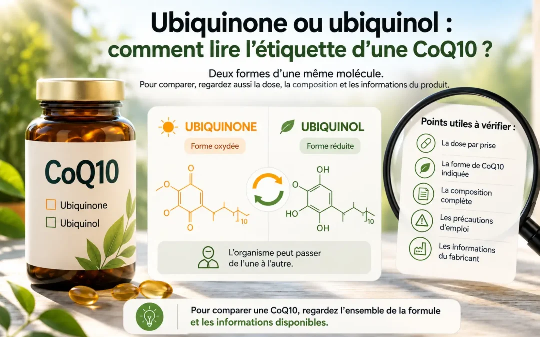Ubiquinone ou ubiquinol : ce que l’étiquette ne vous dit pas sur votre CoQ10