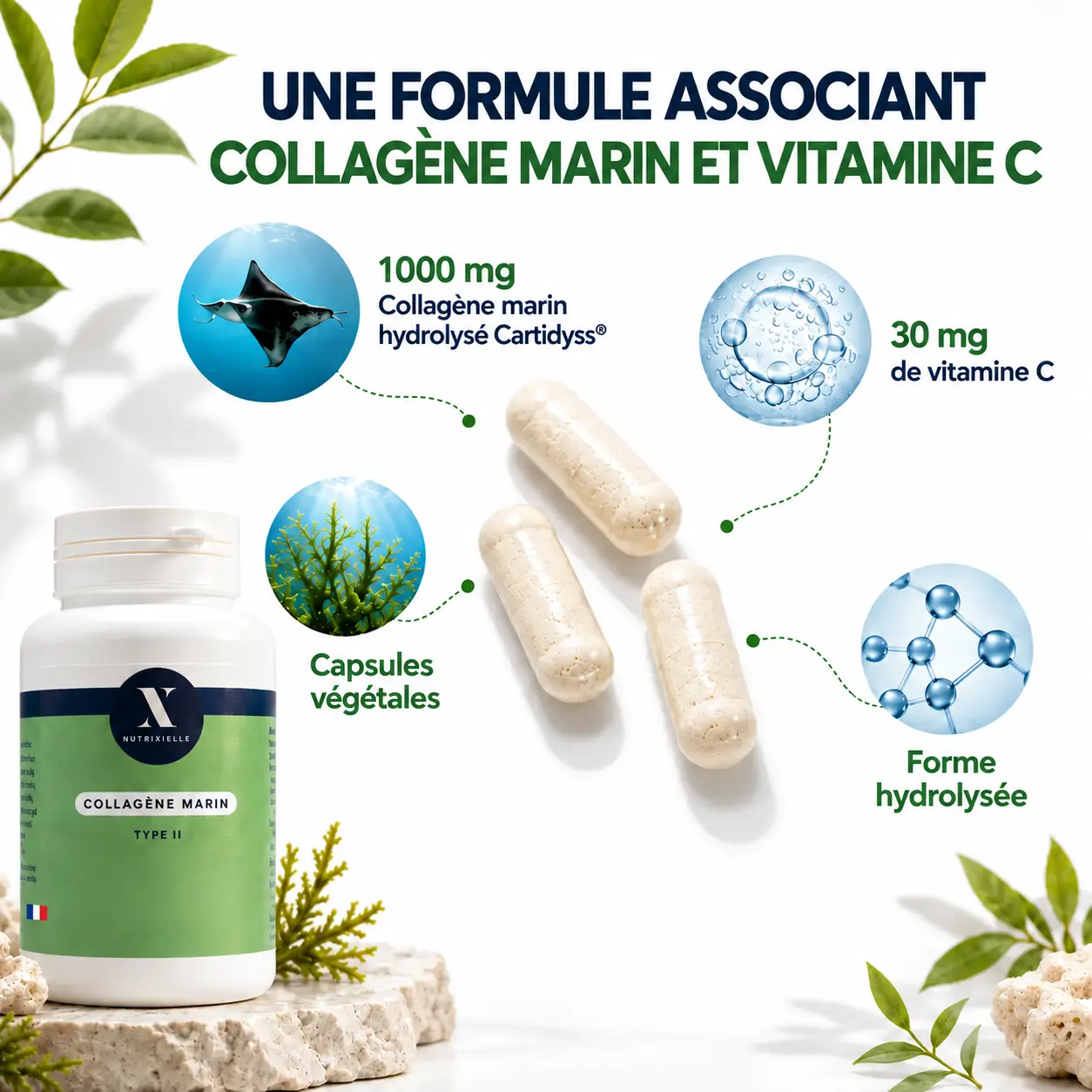 Collagène marin Cartidyss et vitamine C Nutrixielle