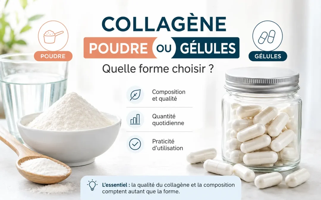 Collagène en poudre ou en gélules : quelle forme choisir ?